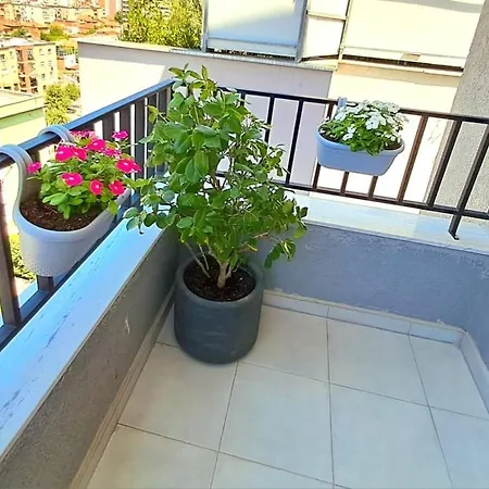 Apartman The New Bazaar View Tirana